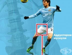 Футболна болест - ARS комплекс