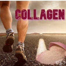 Използването на колаген в спорта