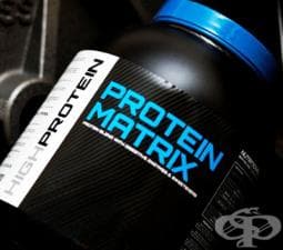 Протеинови матрици