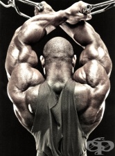 Сериите, като стратегия при тренировките във фитнеса