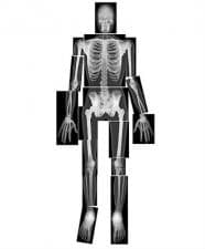 ���������� � ���������� ����