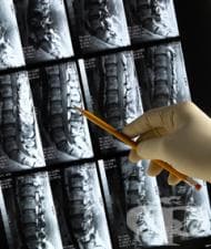 �� �� ��������� �����