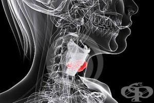 ��� �� �����