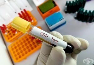 Антидиуретичен хормон (АДХ, ADH)