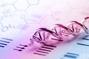 Генетични изследвания при рак на гърдата и яйчниците