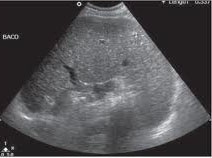 ������������ ���������� (���������) �� ������