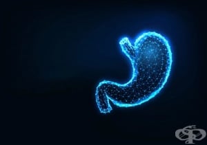 Рентгеново изследване (рентгенография) на стомах