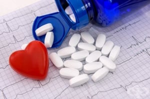 ����������������� ���������