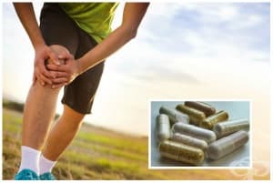 ����������: ��� ����� � ������� � ������