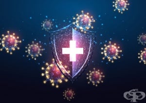 ���������� �� �������� ������� - ���������������