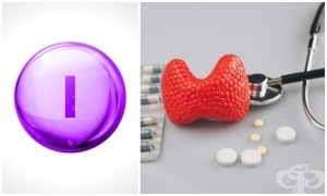 ������� �������� �� ����