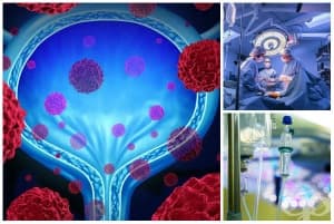 ������� ��� ��� �� �������� �����