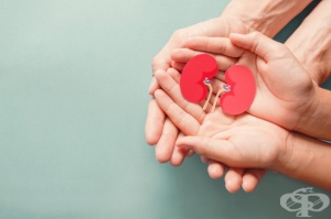 ���������, ��������� ���������