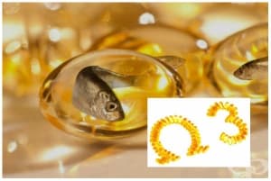 �����-3 ������ ��������