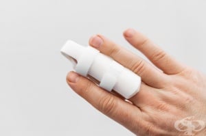 ������ �� ����� �������