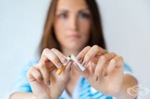 ����� �� ������������ �� ����������� �� �������������� ���������