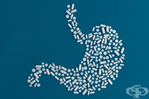 ������������� ���������