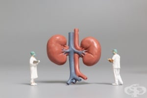 �������������� �� ������