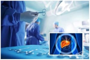 �������������� �� ����� ����