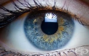 �������������� �� ��������