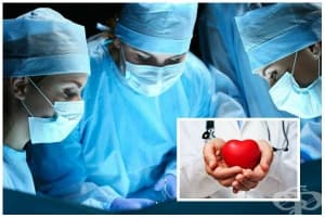 �������������� �� �����