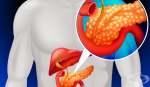 �������������� �� ��������