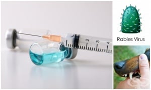 ������� ����� ���