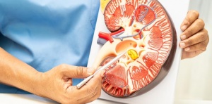 �������������� ���� �������� �� ����� �� �������