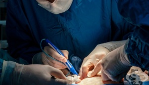 ������� ��������