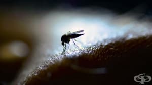 ������������� ������: ������� � ��������� �����