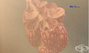  3D   -       Sketchfab