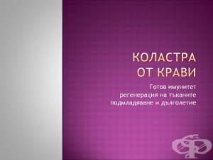 Коластра от крави - готов имунитет, регенерация на тъканите, подмладяване и дълголетие