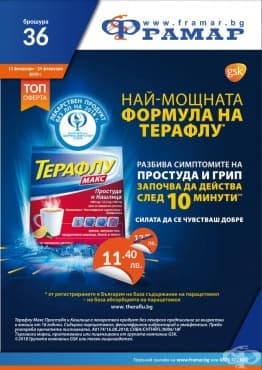 Промоционални оферти в АПТЕКИ ФРАМАР - 11.02.2019 - 24.02.2019 - ТЕРАФЛУ МАКС сашета - промо цена 11.40 лева - изображение