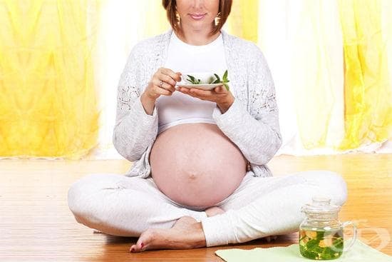 Билки по време на бременност - изображение