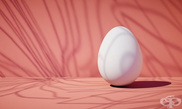 Екстракт от кокоши ембрион дава мощен тласък на здравето - изображение