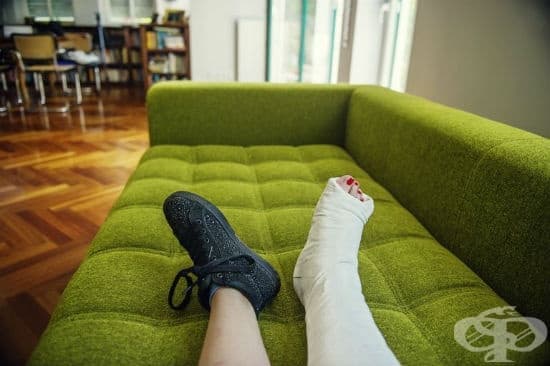 Естествени средства ускоряващи зарастването на счупена кост - изображение