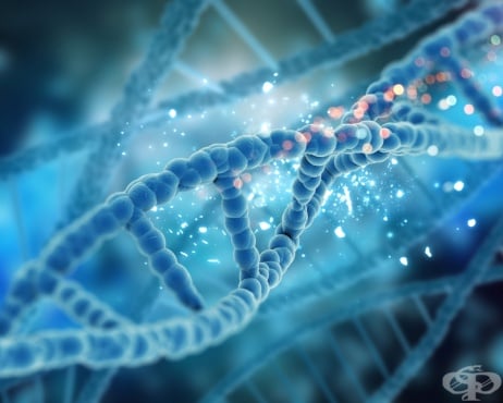 ДНК - изображение