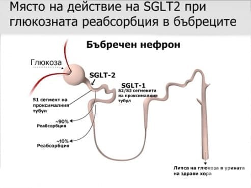   - - 2 (Sodium-glucose co-transporter 2 (SGLT2) inhibitors) | ATC A10BK - 