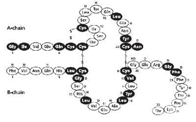  () (insulin (human)) | ATC A10AD01 - 