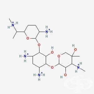  (gentamicin) | ATC D06AX07 - 