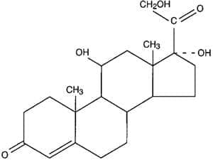  (hydrocortisone) | ATC D07XA01 - 