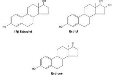    ,  (Natural and semisynthetic estrogens, plain) | ATC G03CA - 