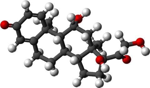     (prednisolone and antiinfectives) | ATC S02CA01 - 