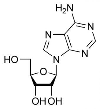  (adenosine) | ATC C01EB10 - 