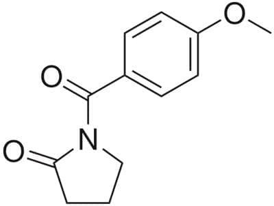  (aniracetam) | ATC N06BX11 - 