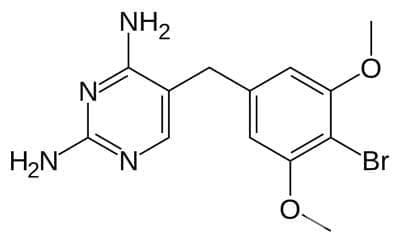  (brodimoprim) | ATC J01EA02 - 