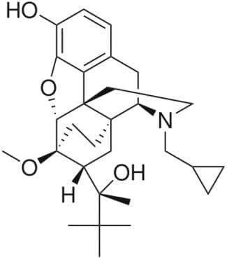  (buprenorphine) | ATC N02AE01 - 