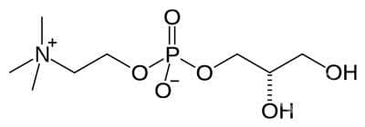   (choline alfoscerate) | ATC N07AX02 - 