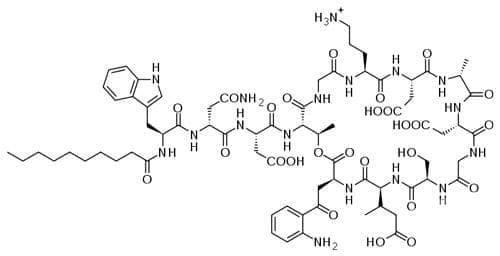  (daptomycin) | ATC J01XX09 - 