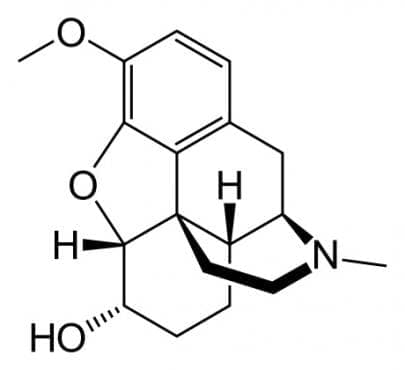  (dihydrocodeine) | ATC N02AA08 - 